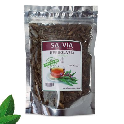 Hierba de Salvia 70 Grs en Chile ¡Revisa su Precio! | Farmacia Mapuche